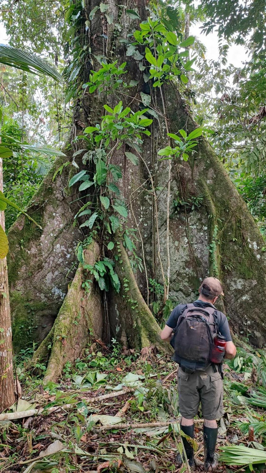 Hospedaje Y Tours Reina Arriera Amazonas Colombia Macedonia Exterior foto